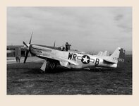 355FG WR-Bbar DiPietro retouch.jpg