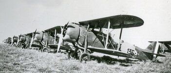e217ac764ab48cae0682a502fb15d6f3.jpg