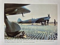 PM151 Bracken.jpg