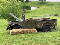 IMG_4446.jpg