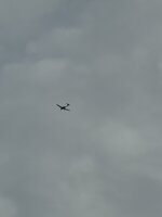 IMG_7848.jpeg