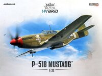 P-51.jpg