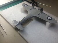 IMG_4088.jpeg