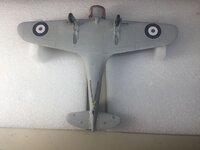 IMG_4087.jpeg