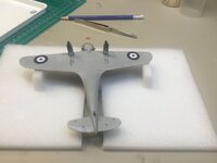 IMG_4085.jpeg