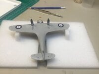 IMG_4085.jpeg