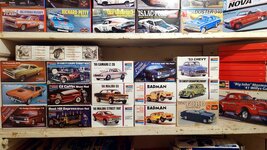 IMG_20260828_170149.jpg