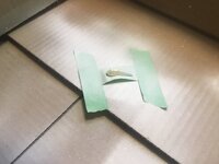 IMG_4103.jpeg