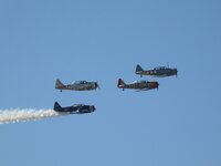 DSCN6612 (1).JPG