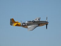 DSCN6180.JPG
