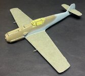46_Remasked canopy_E0997.jpg