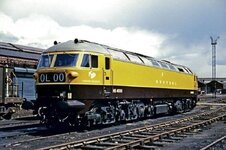 IMG_20260831_154255.jpg