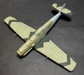 49_RLM70 Wing Camo_E1007.jpg