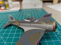 IMG_4111.jpeg