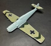 56_Wing gloss and decals_E1039.jpg