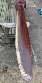 IMG_2619.jpeg