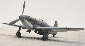 image (10).jpg