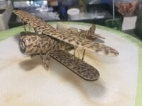 IMG_20260921_081331.jpg