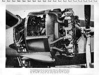 lear022.jpg