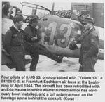 Bf109G6 yellow 13 6JG53.jpg