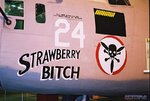 Noseart_Dayton_Strawberry_Bitch_2.jpg