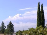 P8300117a.JPG