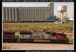 BNSF_8215_SD75M_H_DENLAU_02_Utah_Junction_CO_20090902_58.jpg