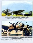 Ju88 colour pic1.jpg