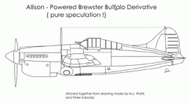 Allison-Buffalo.gif