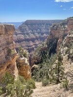 IMG_4769.jpg