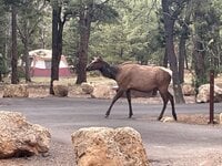 IMG_4828.jpg