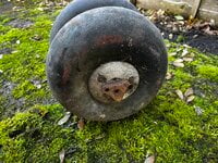 IMG_7183.jpeg