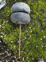 IMG_7182.jpeg