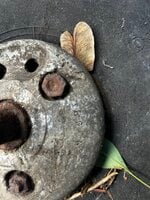 IMG_7200.jpeg