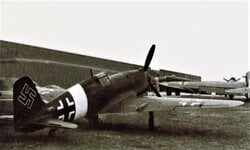 Ambrosini_SAI.403.jpg
