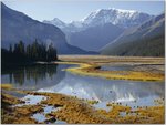 Mount Kitchener and Sunwapta River, Jasper National Park, Alberta.jpg