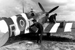 spitfire5_.jpg