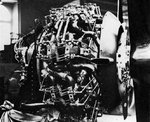 salmson.jpg
