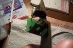 102_4120.JPG