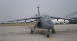 alpha jet-03.jpg