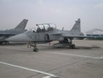 gripen_001.jpg