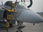 gripen_005.jpg