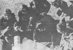 w5.jpg