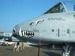 a10.jpg