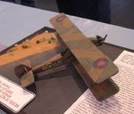 Vickers Vildebeest Mk.III_4718.JPG