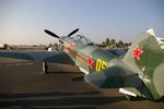 IMGP7848-cr.jpg