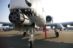 IMGP7873-cr.jpg