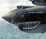 P40_FlyingTigers_.jpg