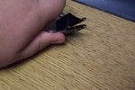 102_4530.JPG