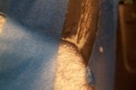 102_4575.JPG